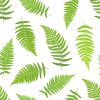Fern Frond